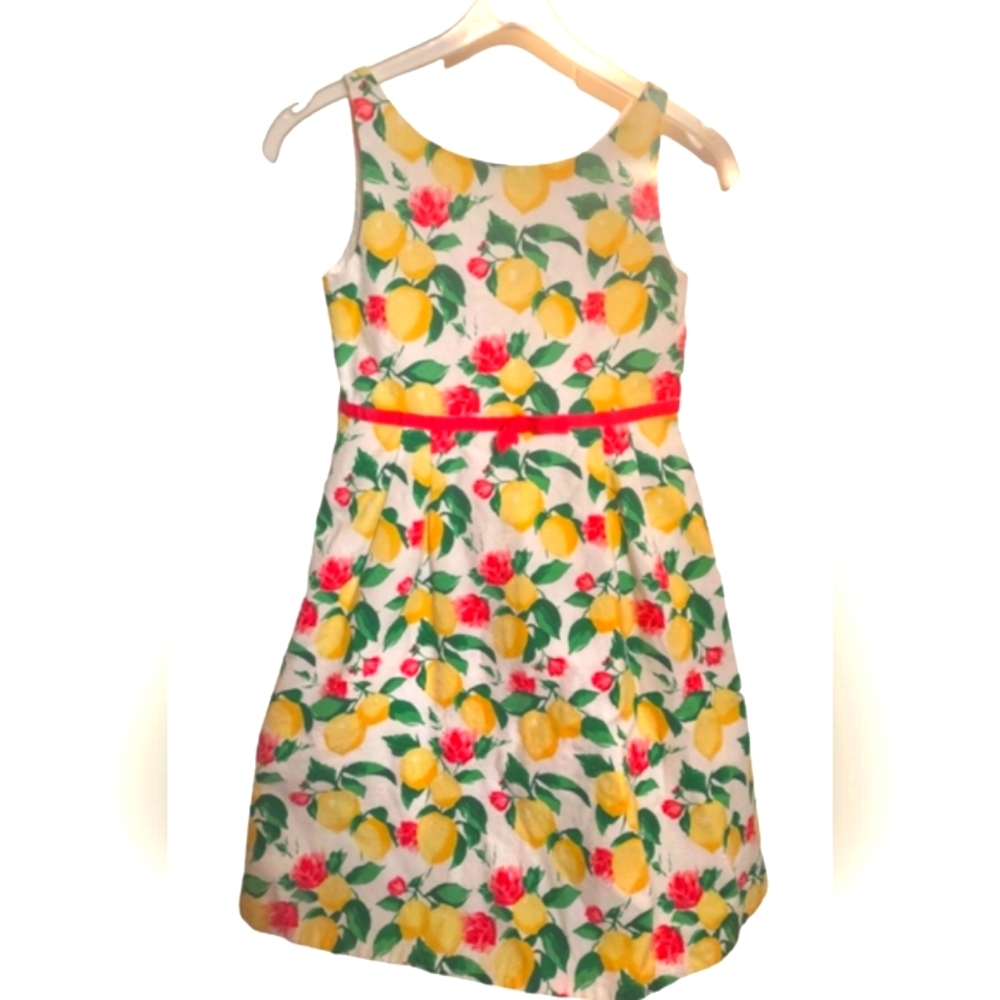 Janie and Jack Lemon Print Dress with Red Floral Accents